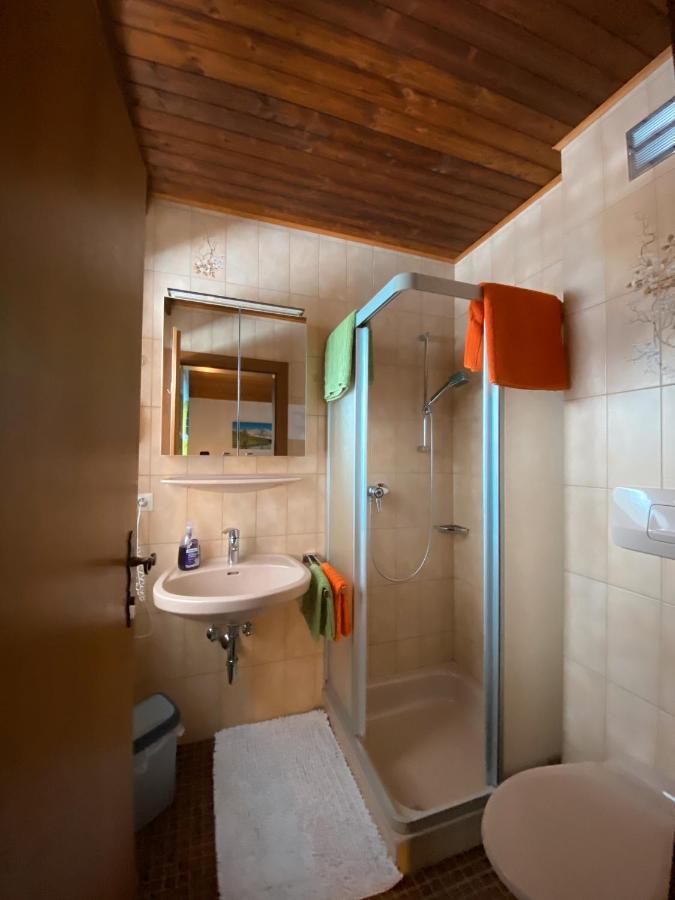 Haus Ratgeb Lägenhet Filzmoos Exteriör bild