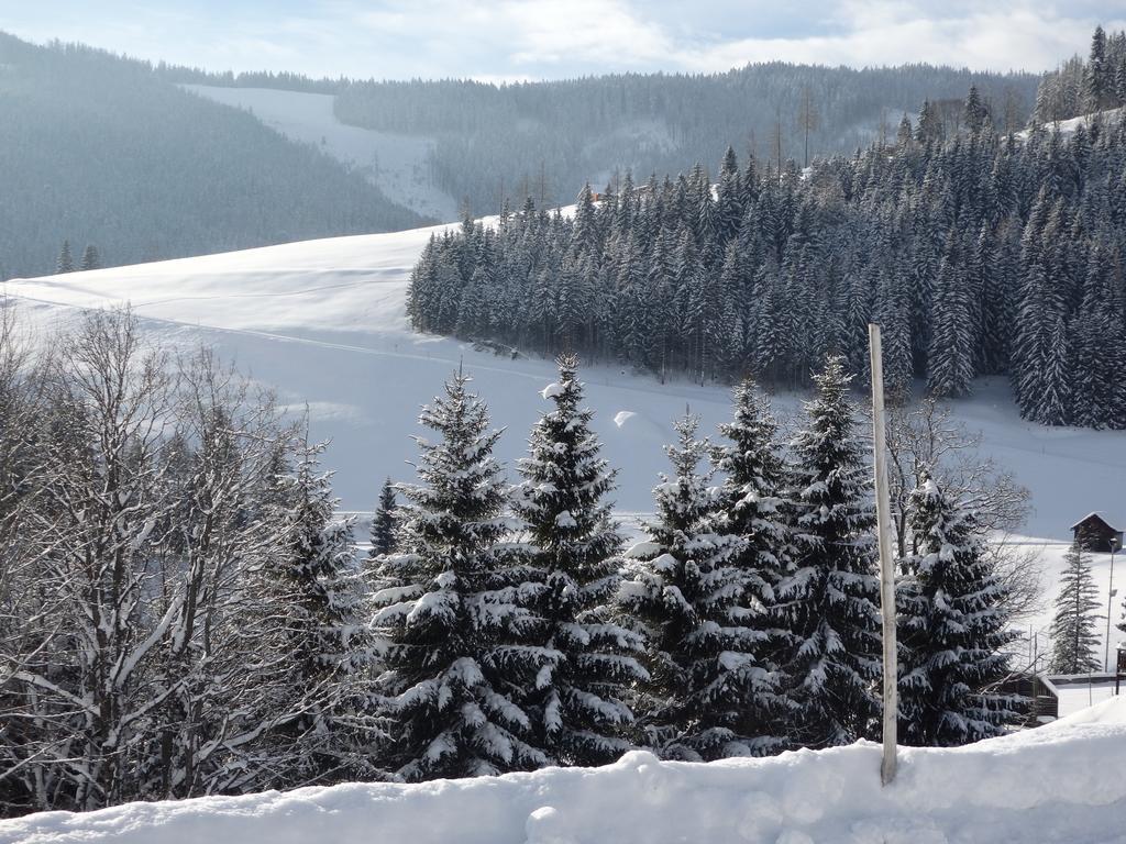 Haus Ratgeb Lägenhet Filzmoos Exteriör bild